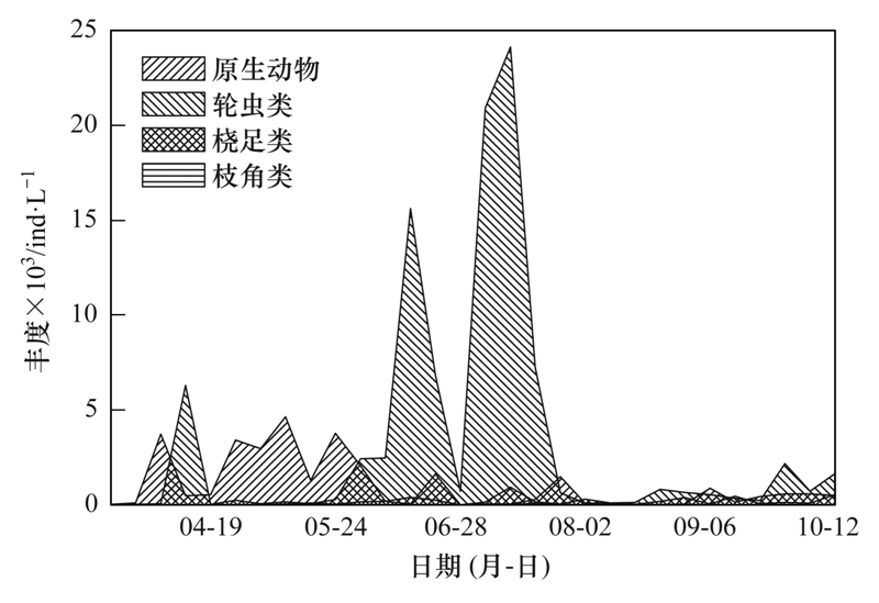 蓟州开发区最新招聘动态及其影响