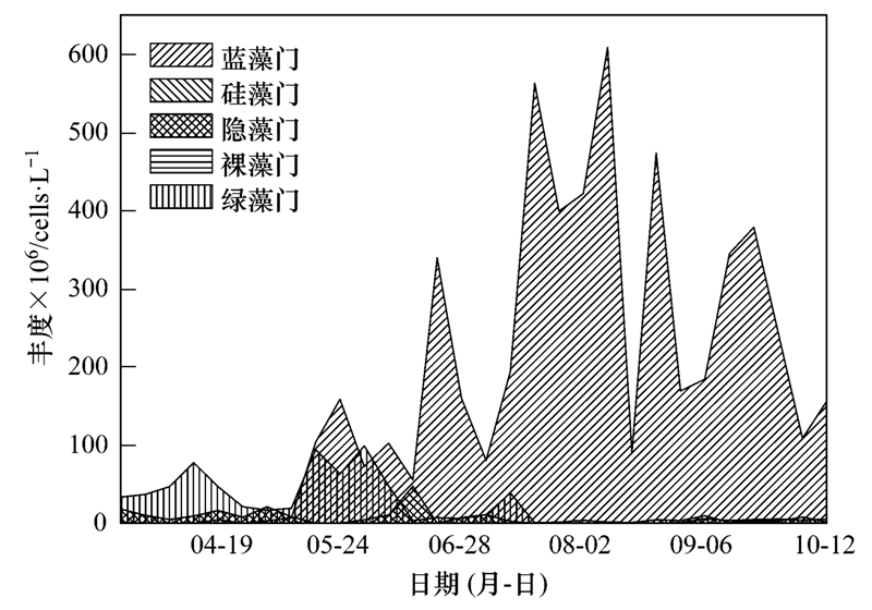 南昌市盛炜最新任免动态及其影响