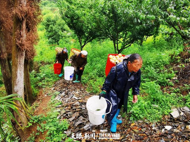 贵州瓮安丰岩的最新消息