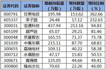 甘肃电投股吧最新消息深度解析