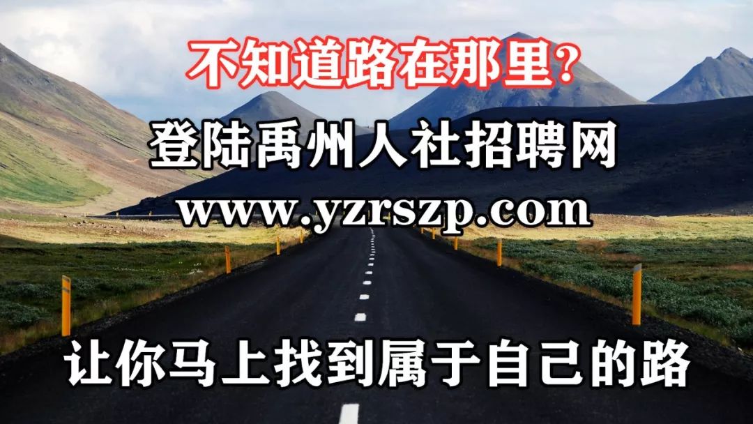 禹州市招聘网最新招聘动态深度解析