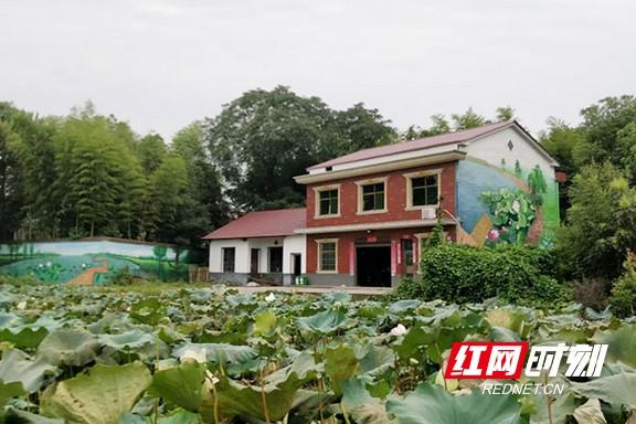 资阳区紫薇村最新消息全面报道