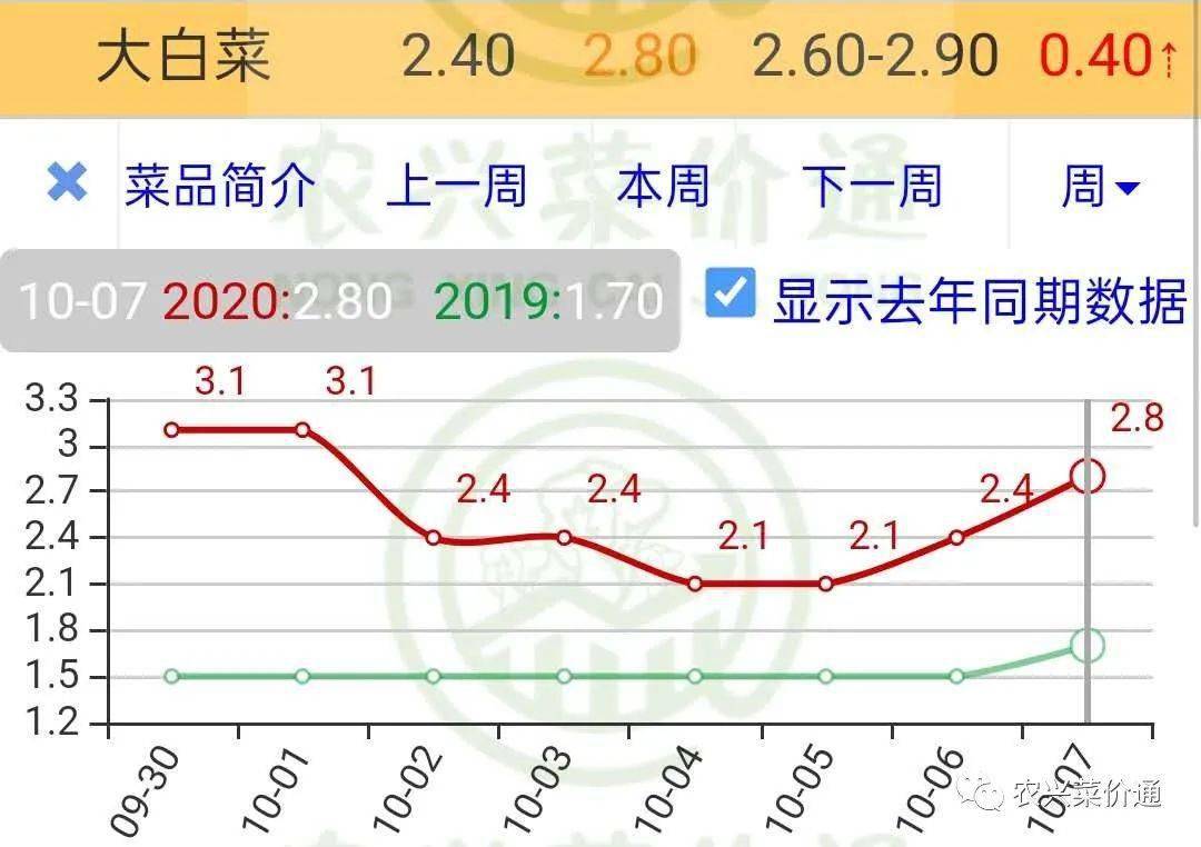 洋白菜最新市场价格动态分析