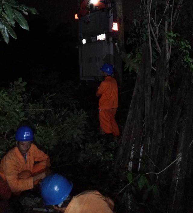 热带风暴天鸽最新消息